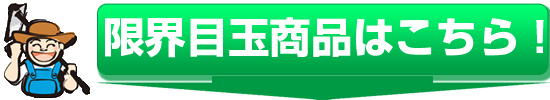 �����̌��E�ڋʏ��i