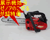 �y�[�m�A�zG2501T-25P10