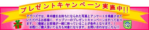 �v���[���g�L�����y�[�����₢���킹