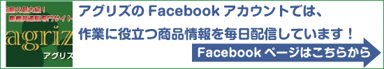 AOYFacebooky[W͂I