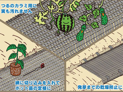 わらイラズ施工例