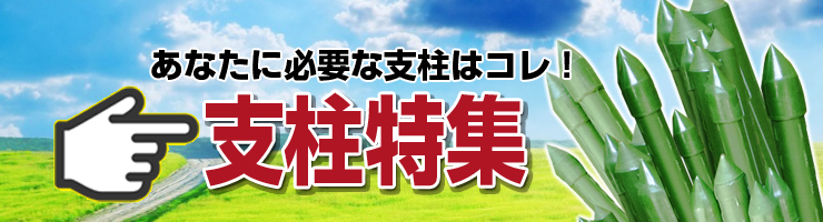 支柱特集