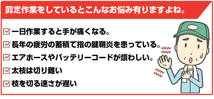 品揃え豊富で 和光商事 WAKO 電動剪定鋏 Vine P32nova 延長ポールEP21セット 高枝剪定鋏 高枝剪定はさみ 電動剪定はさみ  電動剪定ばさみ 充電式剪定はさみ 充電式高枝はさみ うめ 梨 ぶどう 柿 リンゴ 果樹 庭木