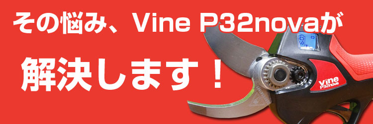 品揃え豊富で 和光商事 WAKO 電動剪定鋏 Vine P32nova 延長ポールEP21セット 高枝剪定鋏 高枝剪定はさみ 電動剪定はさみ  電動剪定ばさみ 充電式剪定はさみ 充電式高枝はさみ うめ 梨 ぶどう 柿 リンゴ 果樹 庭木