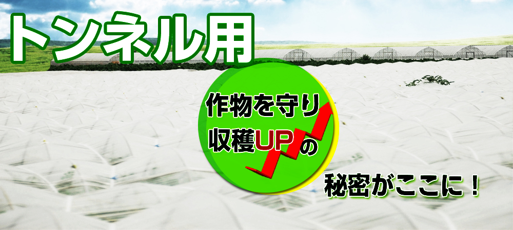 ビギナーからプロまで満足 アグリズ春の支柱特集