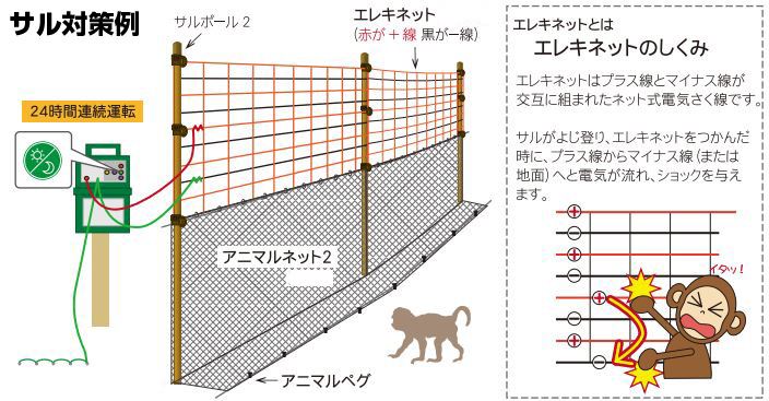 開店記念セール！】 アポロ ビリビリバンド 500m BRB-500 電気柵 資材 電気柵用コード アライグマ 猪 イノシシ 猿 サル 防獣対策 防護柵 