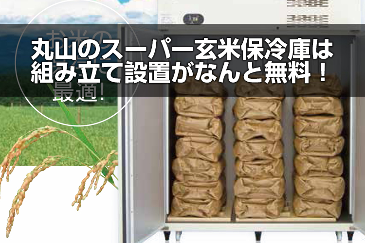 く日はお得♪ 川辺製作所 総桐米保管庫 ファン付 ３型 除湿換気ファン付 お客様組立品