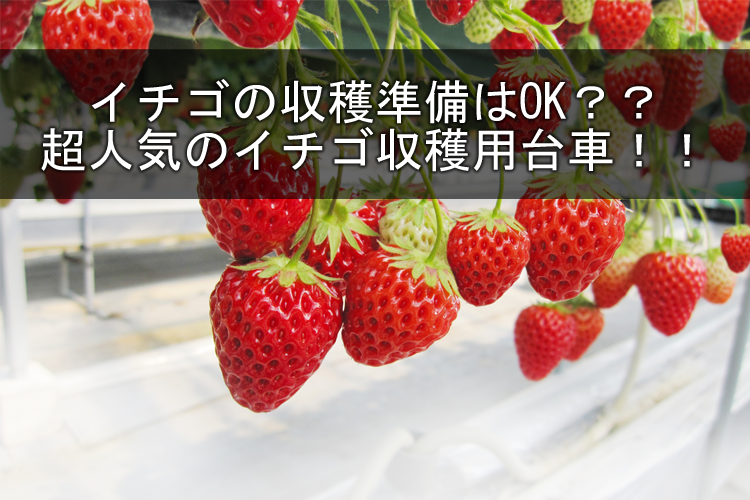 超特価SALE開催 いちご 収穫台車 個人宅配送OK 最短当日発送 代引OK ハラックス 愛菜号 SW-312 いちご用収穫ワゴン 3段タイプ  高設栽培 高床式栽培 砂栽培 パセリ ハーブ