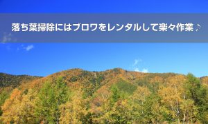 落ち葉掃除にはブロワをレンタルして楽々作業♪