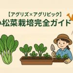 小松菜栽培完全ガイド