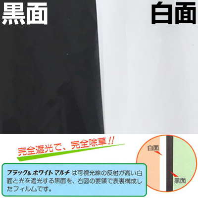 東罐 トーカン 白黒マルチ ブラック＆ホワイト 厚さ0.025mm 巾135cm