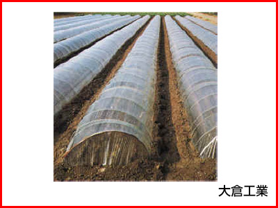 オークラ（大倉） 透明 一般用農ポリ 0.1mm×210cm×100m 1本入