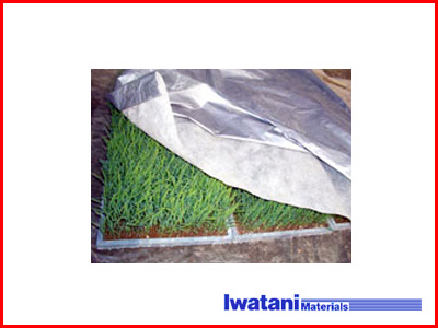 イワタニ 水稲育苗用シート シルバーホッカ 2.3m×50m
