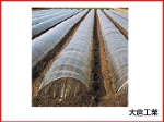 オークラ（大倉） 透明 一般用農ポリ （ライン有） 0.02mm×120cm×200m 3本入